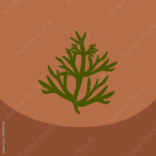 Vector dill illustration on color background. Botanical herbal icon condiment.