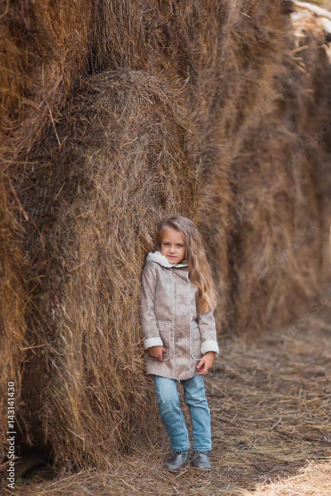 Portrait of a small beautiful girl near the haystacks Portrait of a small beautiful girl near the haystacks
