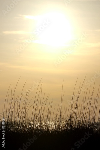 Sonnenuntergang am Meer mit Gras