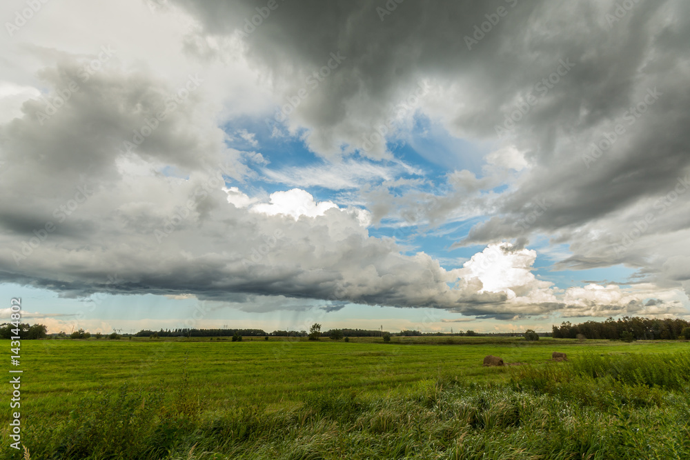 Wheat fields. Sunny summer landscape. Beautiful massive clouds. Stormy clouds.