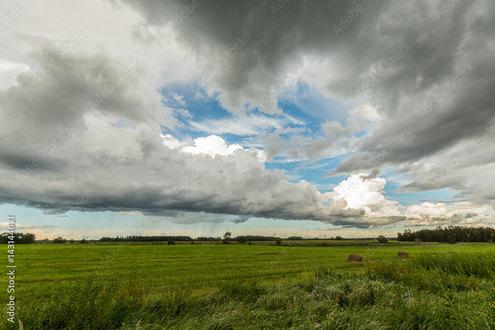 Wheat fields. Sunny summer landscape. Beautiful massive clouds. Stormy clouds.