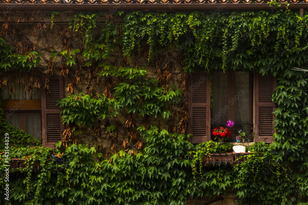 Italy window flowers