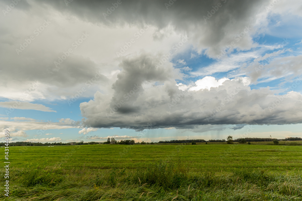 Wheat fields. Sunny summer landscape. Beautiful massive clouds. Stormy clouds. Wheat fields. Sunny summer landscape. Beautiful massive clouds. Stormy clouds.