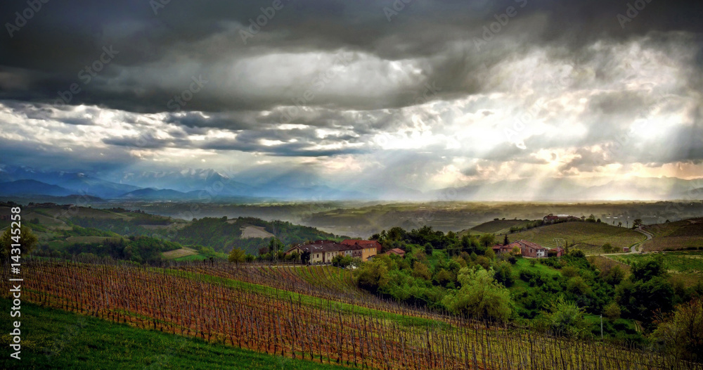 Vineyards of Alba, Langhe and Roero