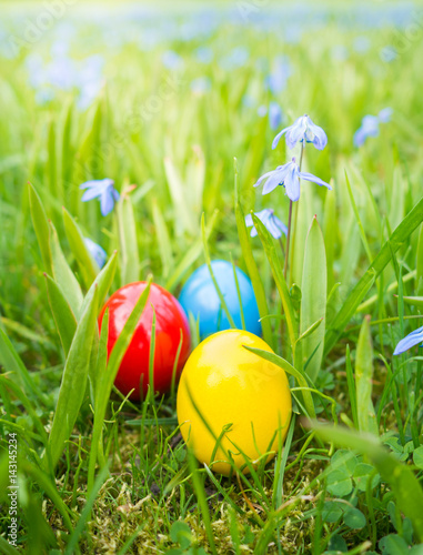 bunte Ostereier auf der Wiese versteckt