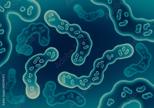 Tableau sur toile Abstract illustration in microscopic view of various bacteria cells