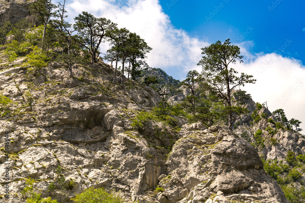 Part of mountains in Bosnia