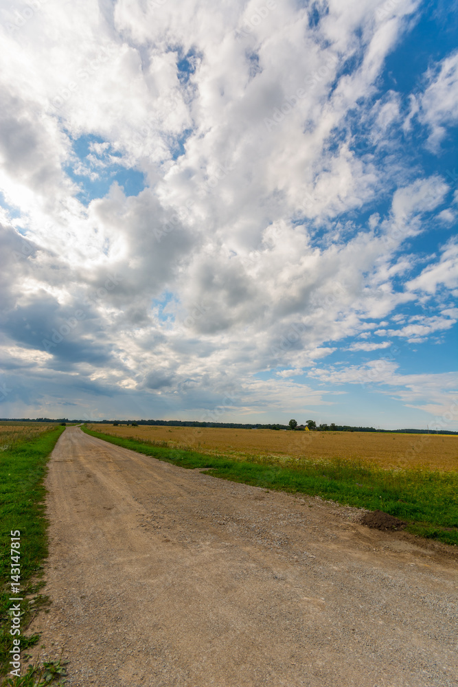 Obraz premium Country road among green and yellow fields. Nature landscape. Big massive clouds.