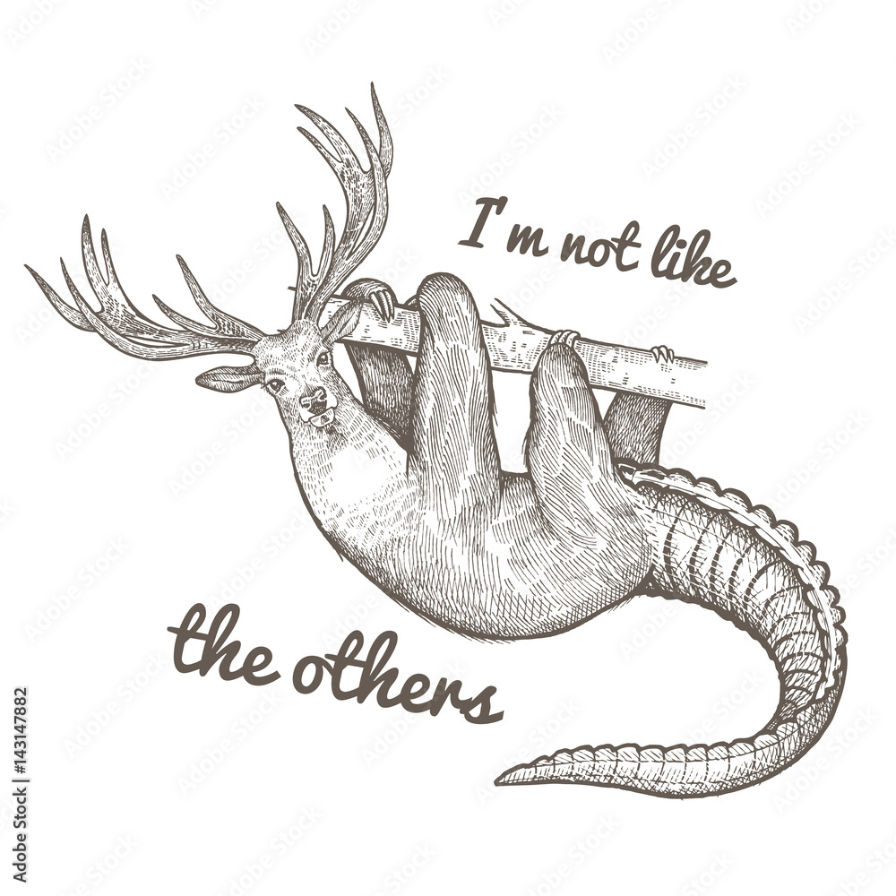 fantastic-unusual-animal-stock-vector-adobe-stock