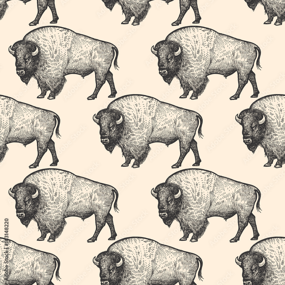 Seamless pattern with Bison.
