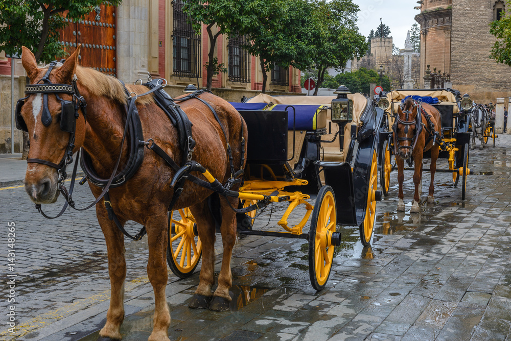 Horse-drawn carriages in Seville, Spain