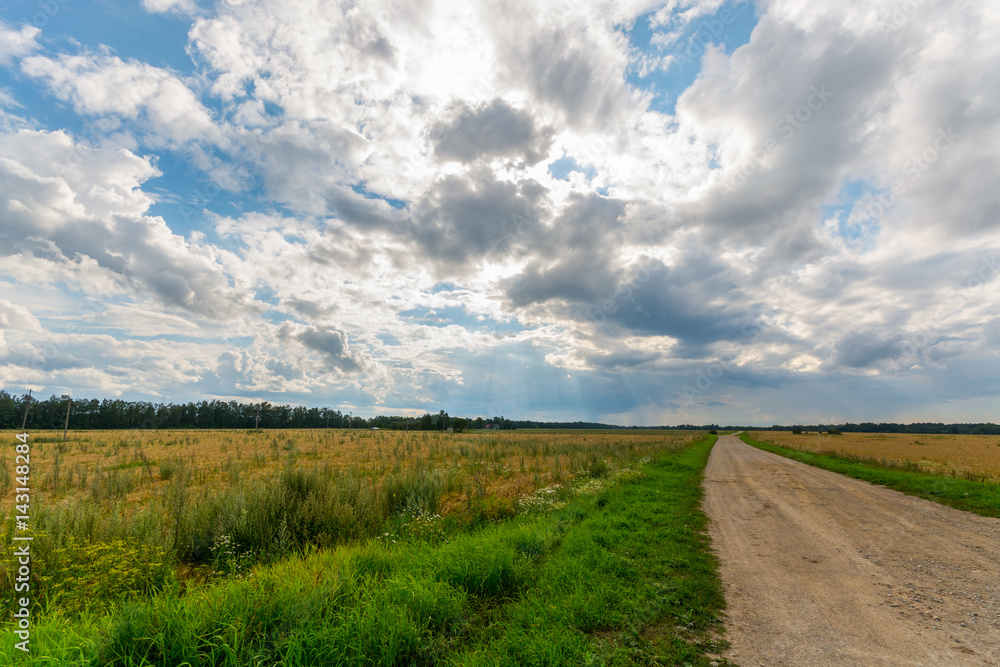 Country road among green and yellow fields. Nature landscape. Big massive clouds.