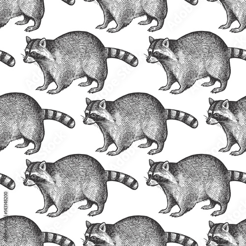Seamless pattern with Raccoon.