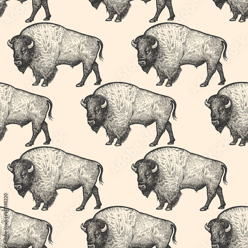Seamless pattern with Bison. © marinavorona