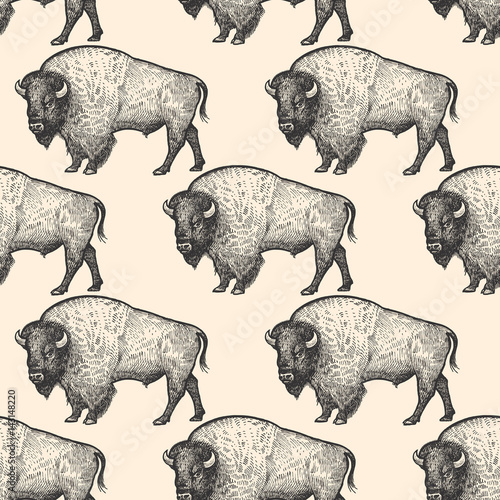 Seamless pattern with Bison.