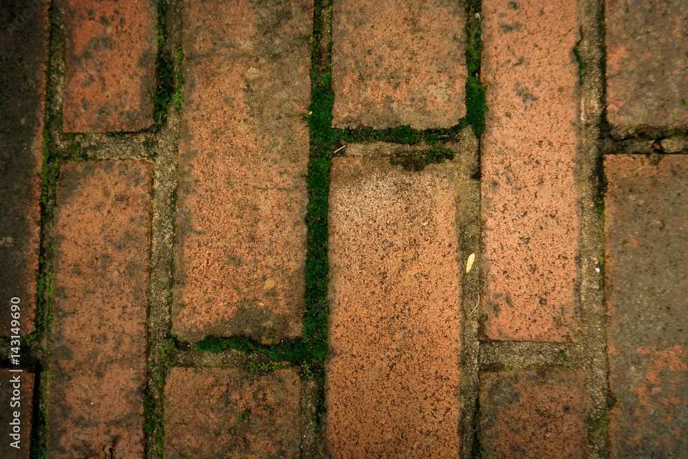 dirty vertical brick floor with mos dirty vertical brick floor with mos