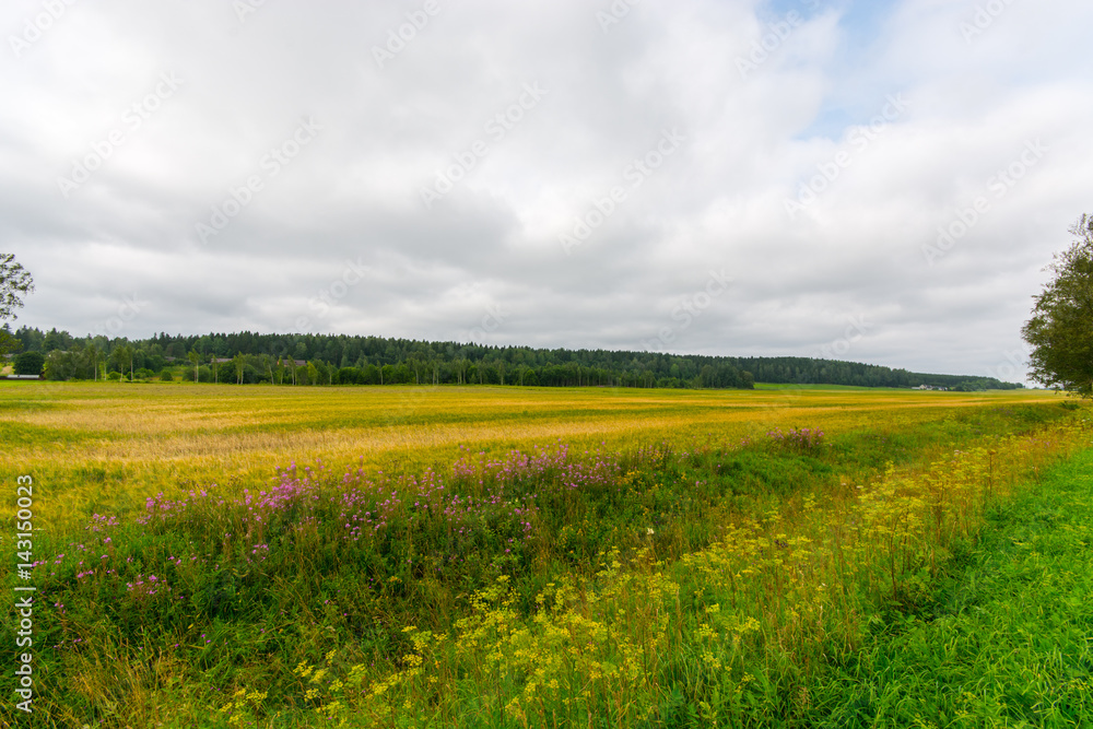 Fototapeta premium Green autumn fields with massive stormy clouds. Nature landscape. 