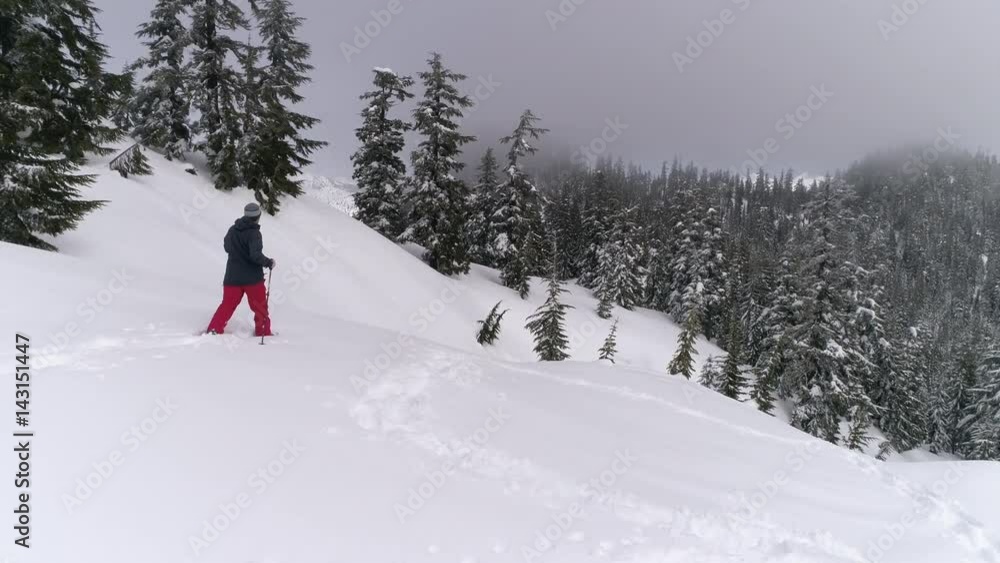 Drone Shot of Man Snowshoeing in Forest with Fresh Deep Powder Snow Drone Shot of Man Snowshoeing in Forest with Fresh Deep Powder Snow