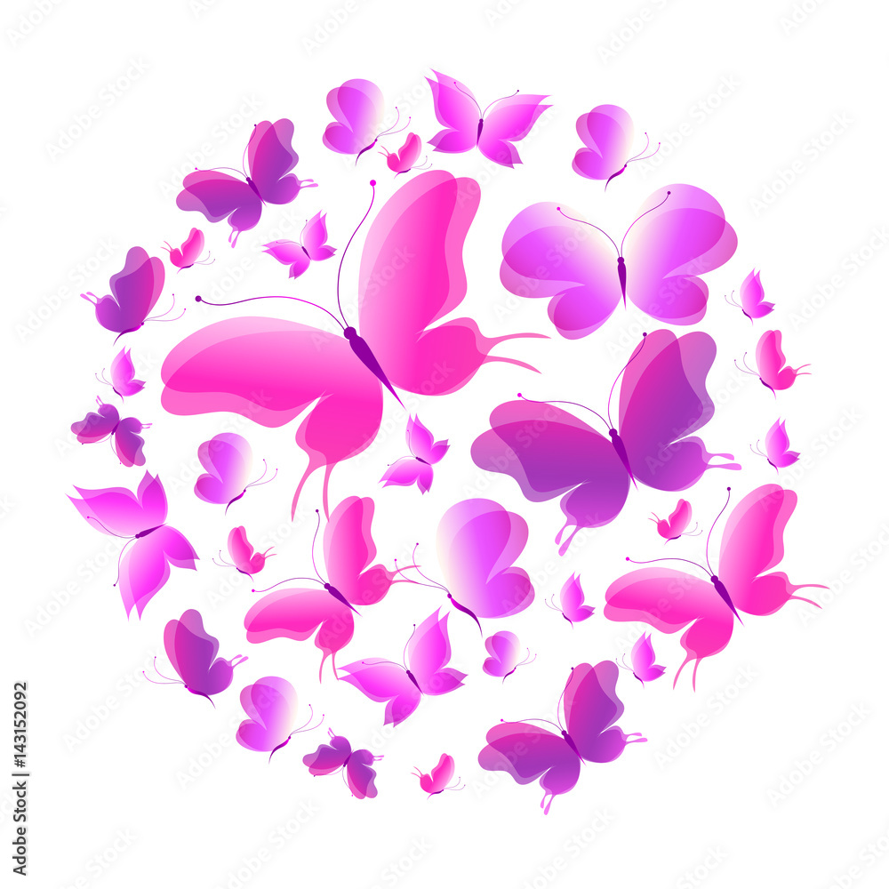 beautiful violet butterflies, isolated on a white beautiful violet butterflies, isolated on a white