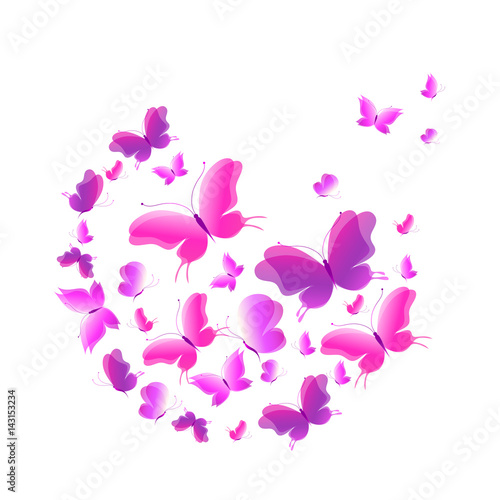 beautiful pink butterflies  isolated  on a white