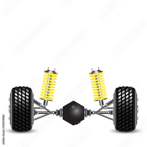 Rear suspension of the car springs and differential
