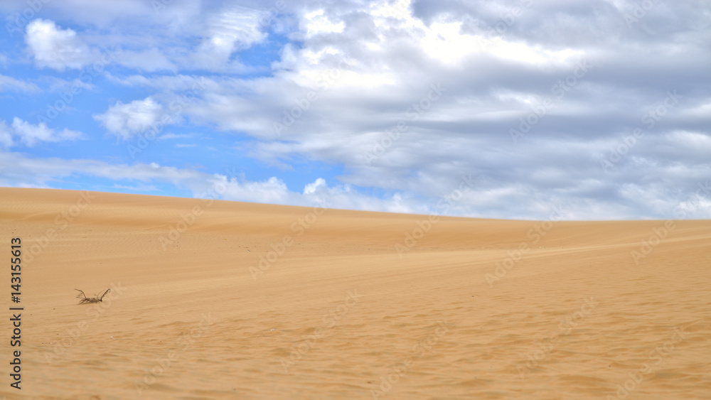 White Sand Dunes in Mui Ne, Phan Thiet, Vietnam. Popular tourist attraction White Sand Dunes in Mui Ne, Phan Thiet, Vietnam. Popular tourist attraction