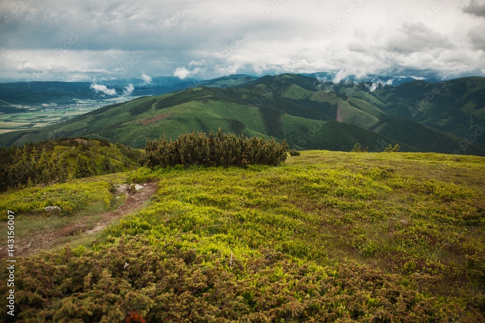 Fototapeta premium Tatran National Park