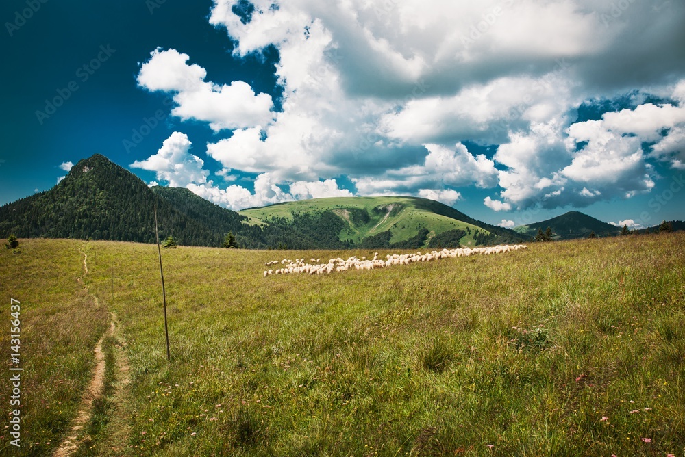 Fototapeta premium Tatran National Park