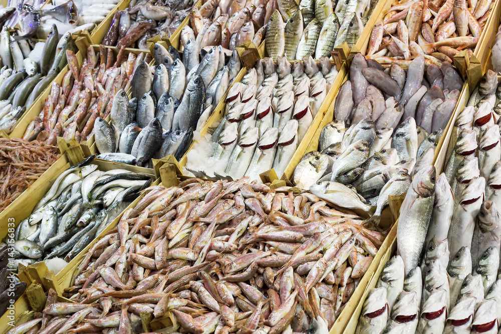 Balık Market