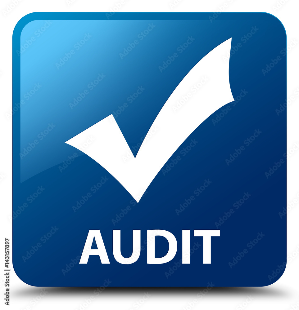 Audit (validate icon) blue square button Audit (validate icon) blue square button
