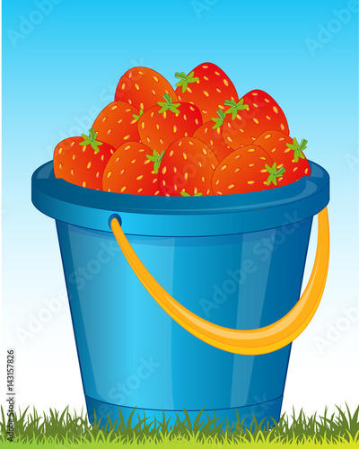 Pail with strawberries