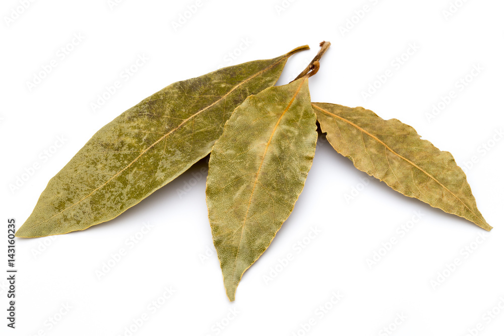 Aromatic bay leaves on white background. Aromatic bay leaves on white background.