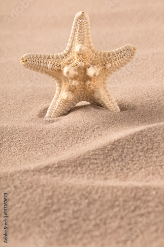 starfish standing in sand of beach. Consept for summer holiday or vacation.