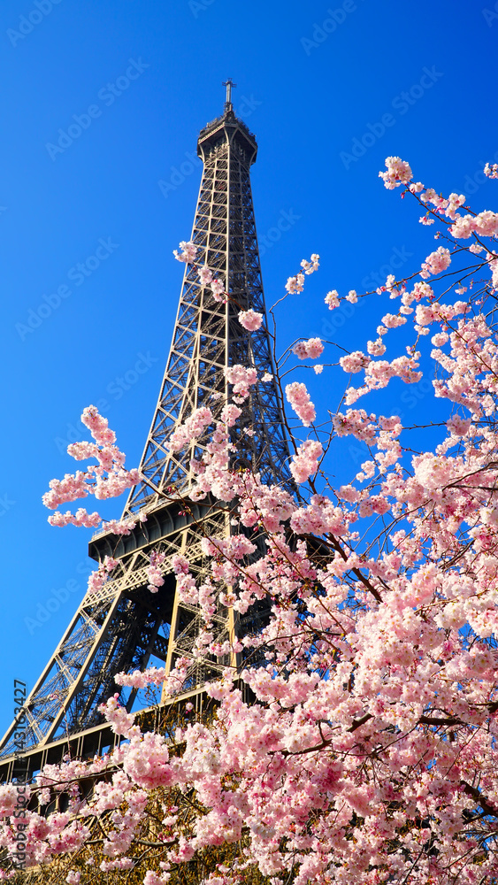Eiffel Tower in spring time, Paris, France Eiffel Tower in spring time, Paris, France