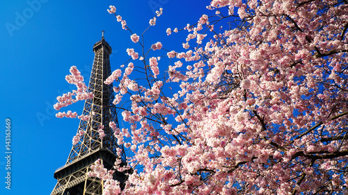 Canvas Print Eiffel Tower in spring time, Paris, France