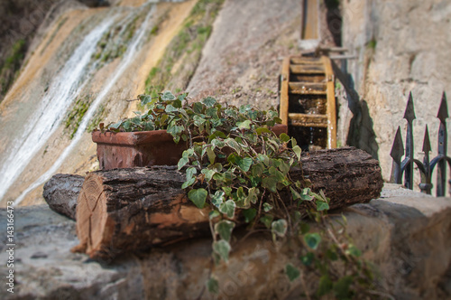 Ivy vase and mill wheel with tilt shift effect