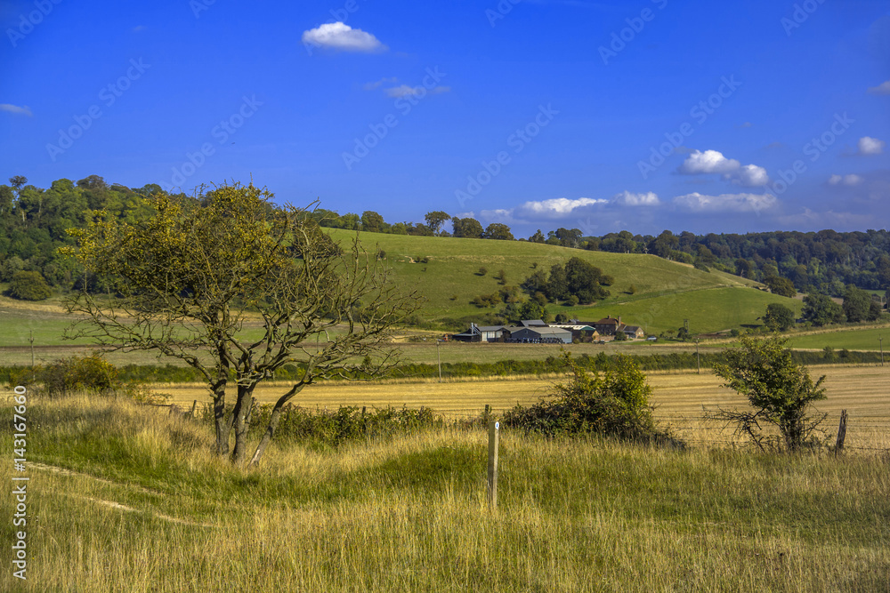 chiltern hills ridgeway path buckinghamshire england uk