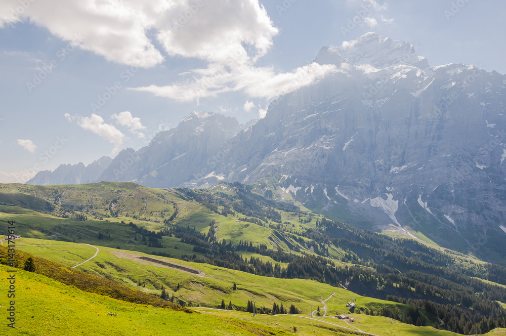 Obraz premium Grindelwald, Wetterhorn, Engelhörner, Alpen, Berner Oberland, Grosse Scheidegg, Wanderweg, Schweizer Berge, Rosenlaui, Sommer, Schweiz