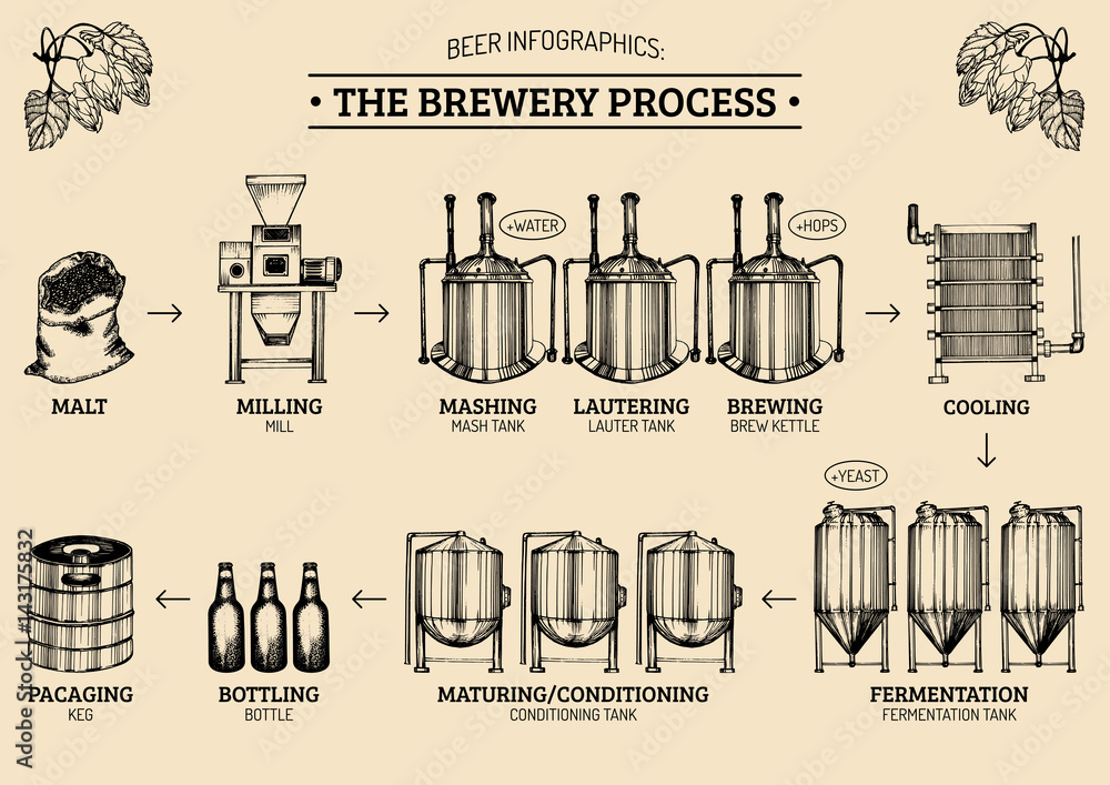 Vector beer infographics with illustrations of brewery process. Ale