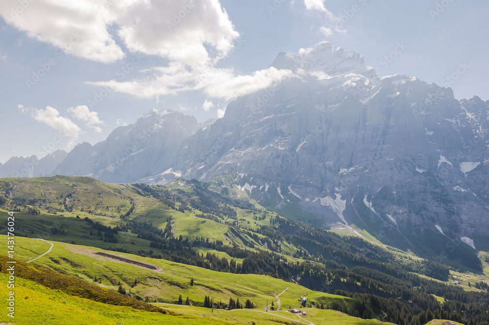Naklejka premium Grindelwald, Berner Oberland, Wetterhorn, Engelhörner, Grosse Scheidegg, Wanderweg, Alpen, Schweizer Berge, Rosenlaui, Sommer, Schweiz