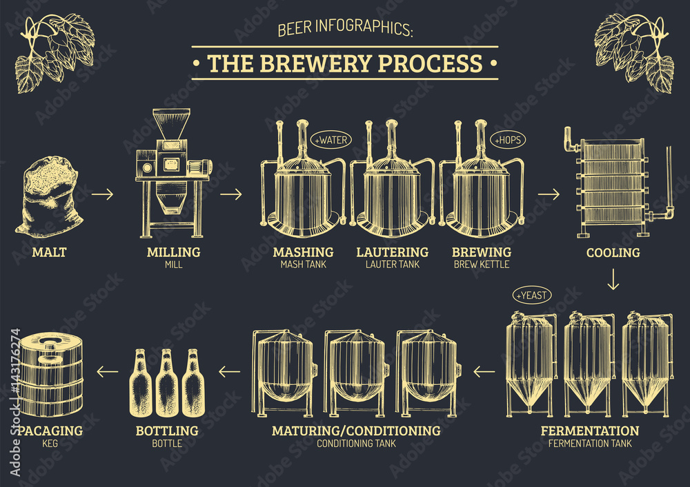 Vector beer infographics with illustrations of brewery process. Ale ...