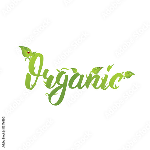 Organic. Hand drawn logo with leaves and ladybugs. Friendly Eco lettering