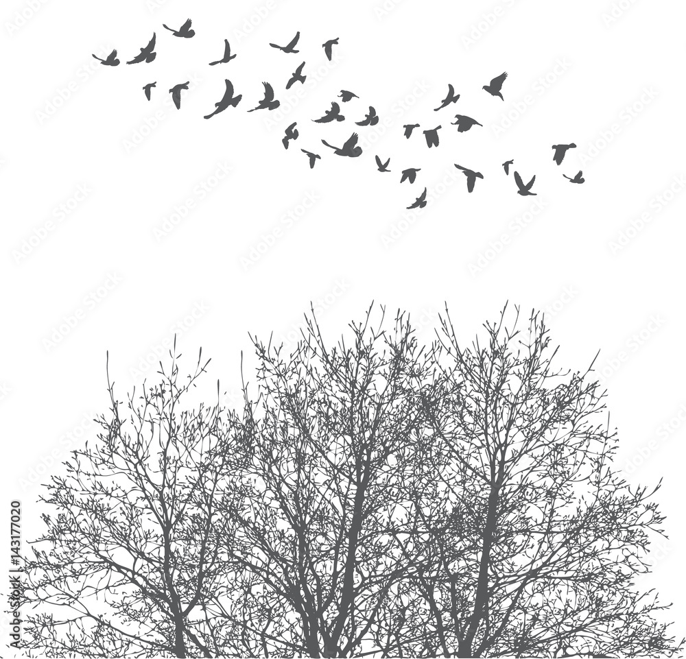 Fototapeta premium Silhouette of flying birds and tree vector illustration