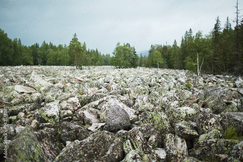 View of big stones covered by moss with green trees on background