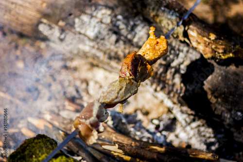 Meat is fried on fire in the forest