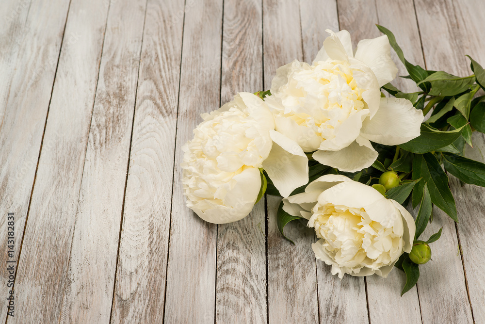 White peonies flowers on white painted wooden planks. Place for text. Square image. Top view. White peonies flowers on white painted wooden planks. Place for text. Square image. Top view.