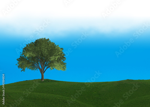 Tree on Grassy Hill