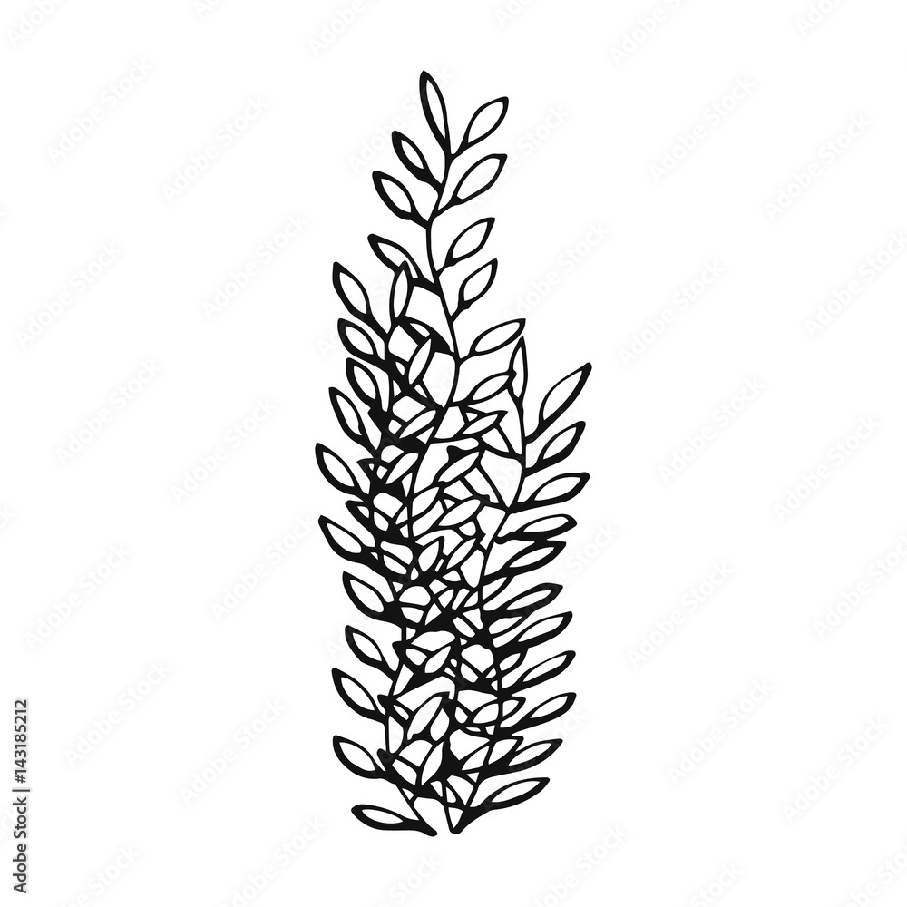 an Alga drawing vector isolated an Alga drawing vector isolated