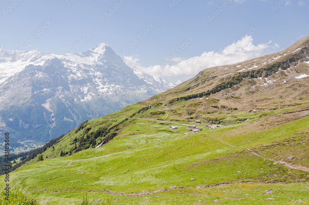 Grindelwald, Berner Oberland, Waldspitz, Alm, First, Eiger, Eigernordwand, Alpen, Schweizer Berge, Wanderweg, Sommer, Schweiz