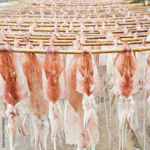 Dried squid, traditional squids drying in the sun in a idyllic fishermen village, China.